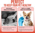 JJ CARE Insulin Syringes for Pets (60-Pack) – 31G, 3/10cc, 1/2", U-100, Half-Unit Markings – Disposable Syringes for Cats & Dogs, Accurate Dosing Syringe